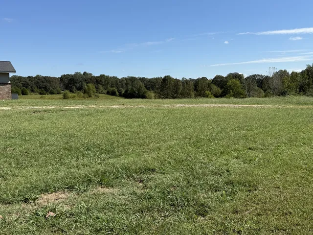 a view of an outdoor space and a yard