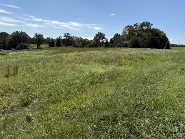 a black house with yard in front of it