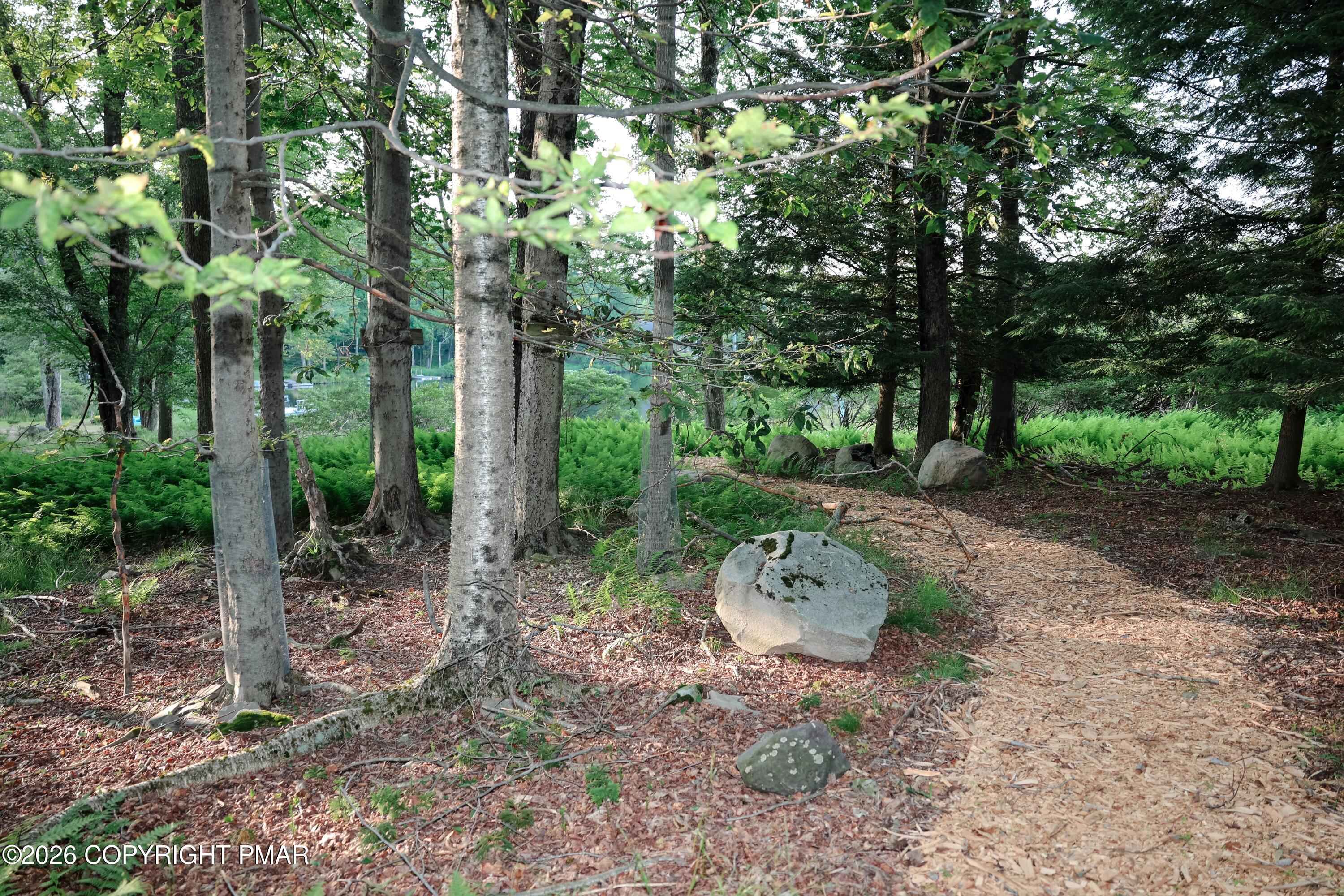 136 Birch Ledge Road Canadensis, PA 18325 - Photo 39 of 48 Walking paths