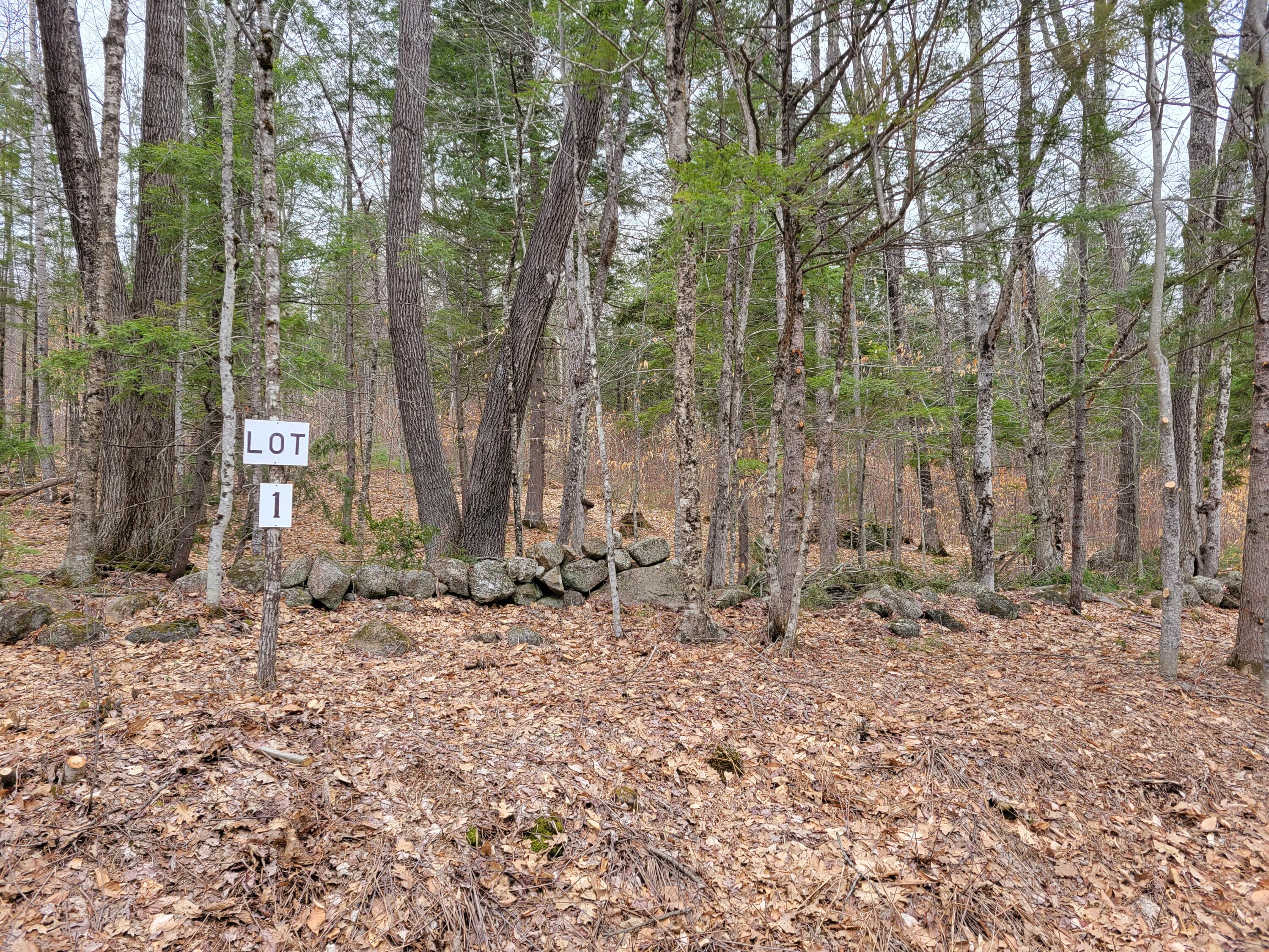 Lot #1 West Fryeburg Road Fryeburg, ME 04037 - Photo 2 of 3