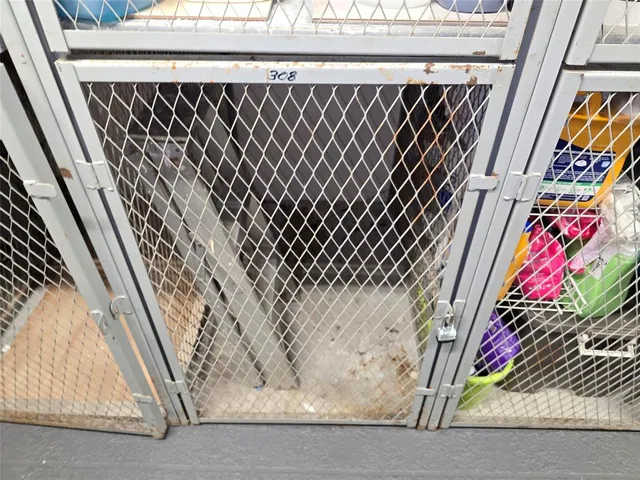 a view of a bird door