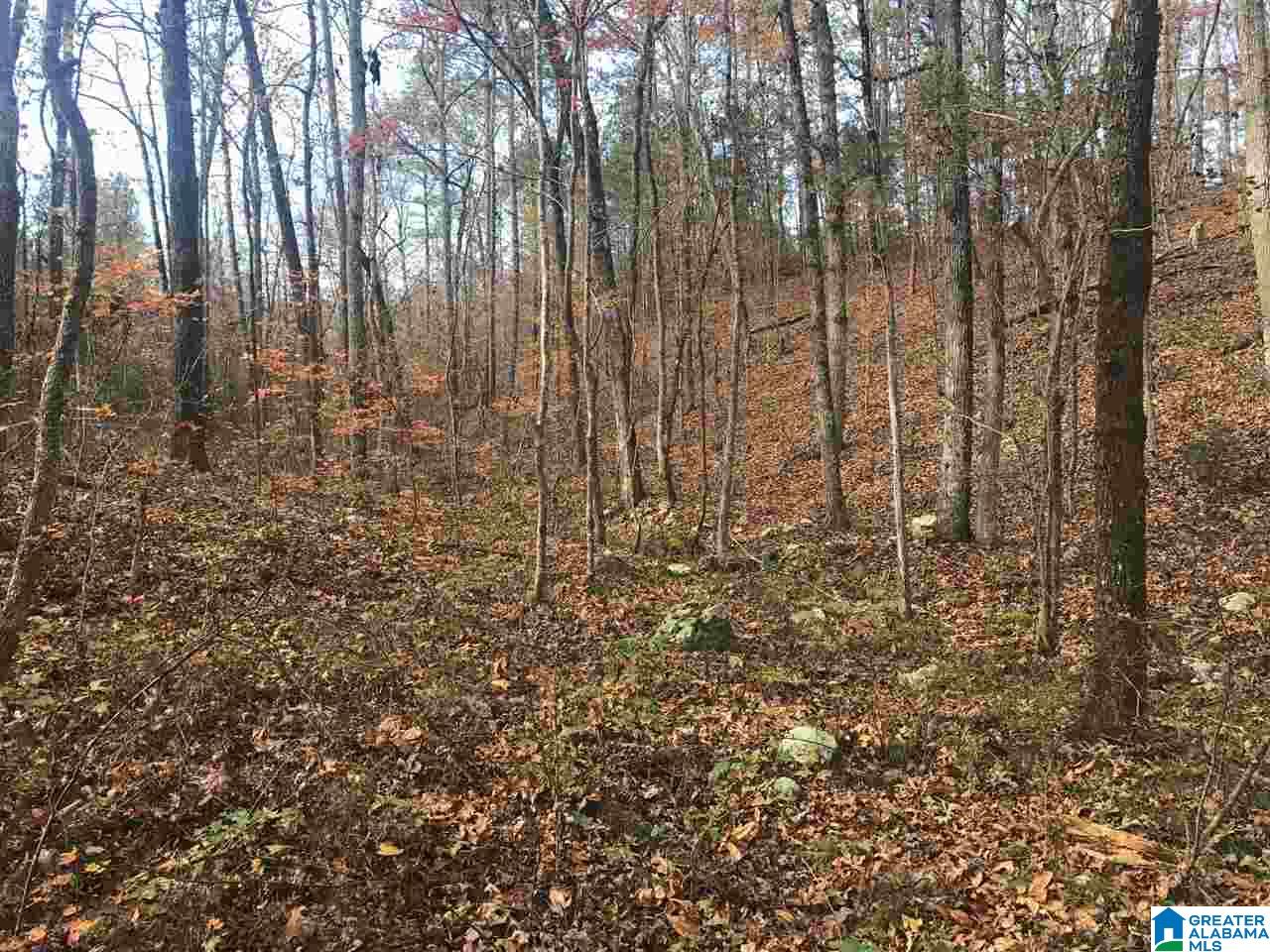 3415 Logan Martin Dam Road, Unit 48 / ACRES Vincent, AL 35178 - Photo 30 of 32