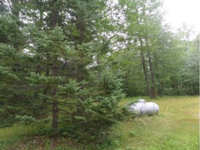 80465 Shady Pine Road Bruno, MN 55712 - Photo 13 of 15 Gallery Image 13