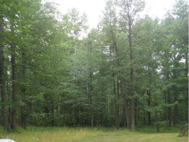 80465 Shady Pine Road Bruno, MN 55712 - Photo 14 of 15 Gallery Image 14