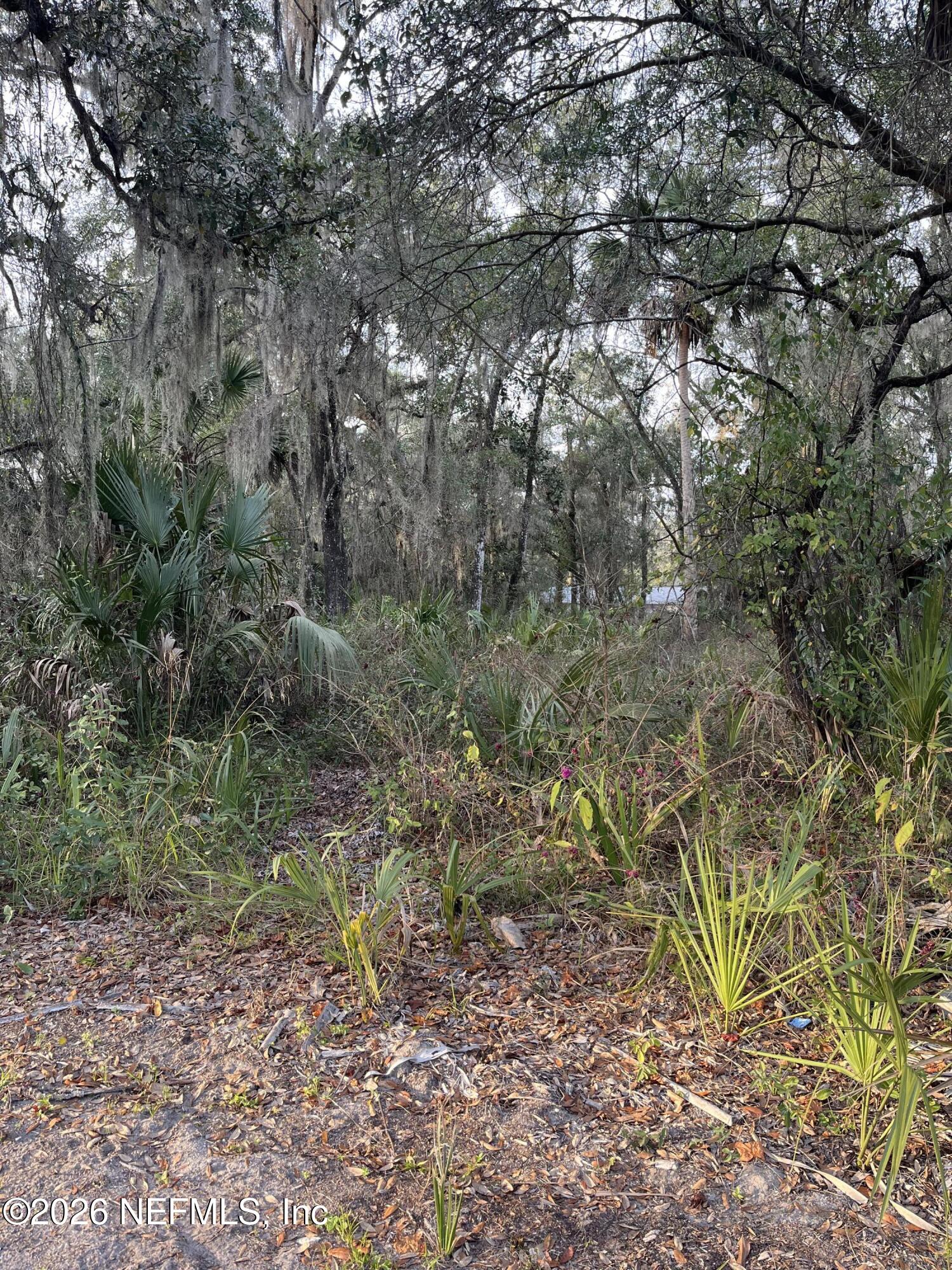 1024 Elm Street Welaka, FL 32193 - Photo 2 of 3 a view of a yard