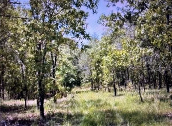 $248,000 | 3830 Northeast 127th Court, Williston, FL 32696