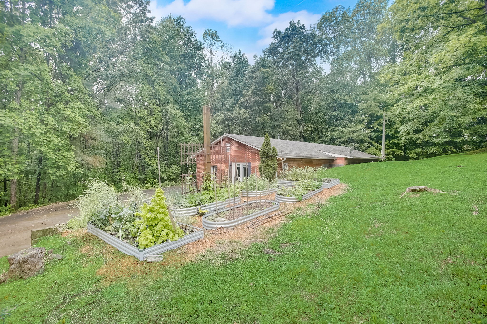 2236 Wolfe Road White Bluff, TN 37187 - Photo 3 of 35 Gallery Image 3