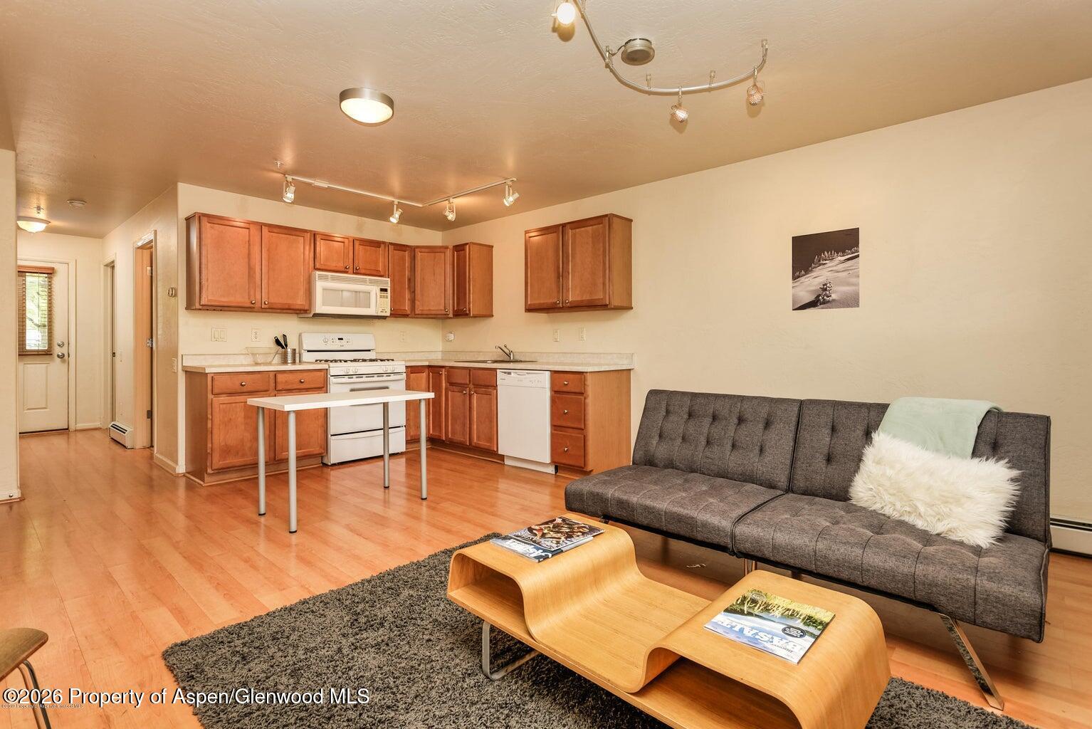 604 Lakeside Drive Basalt, CO 81621 - Photo 15 of 28 a living room with stainless steel appliances furniture and a kitchen view