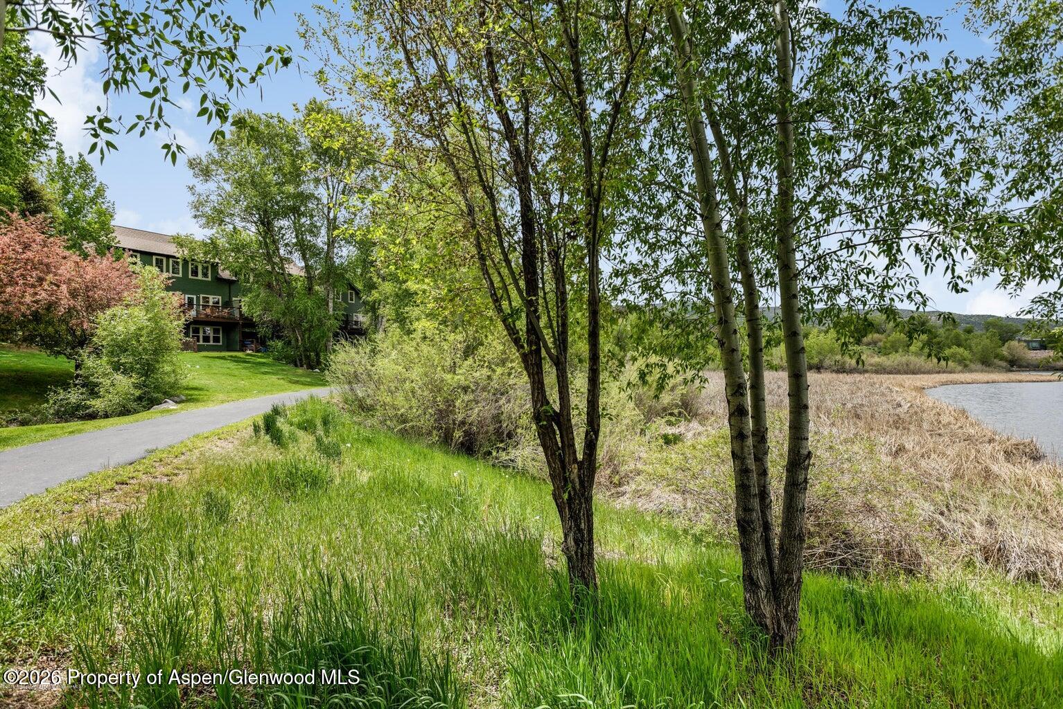 604 Lakeside Drive Basalt, CO 81621 - Photo 22 of 28 a view of a garden with plants and large trees