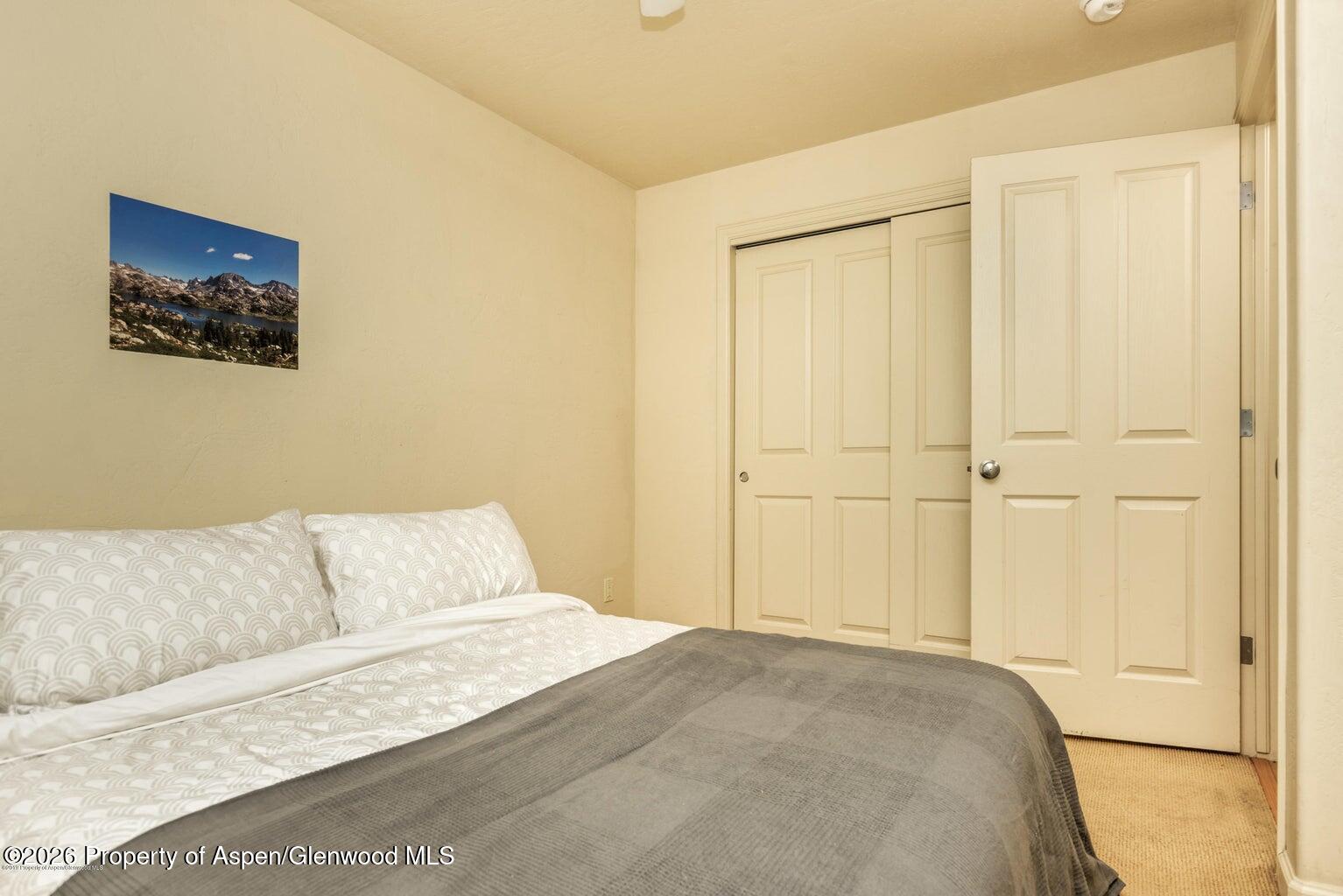 604 Lakeside Drive Basalt, CO 81621 - Photo 9 of 28 a bedroom with a bed and a couch