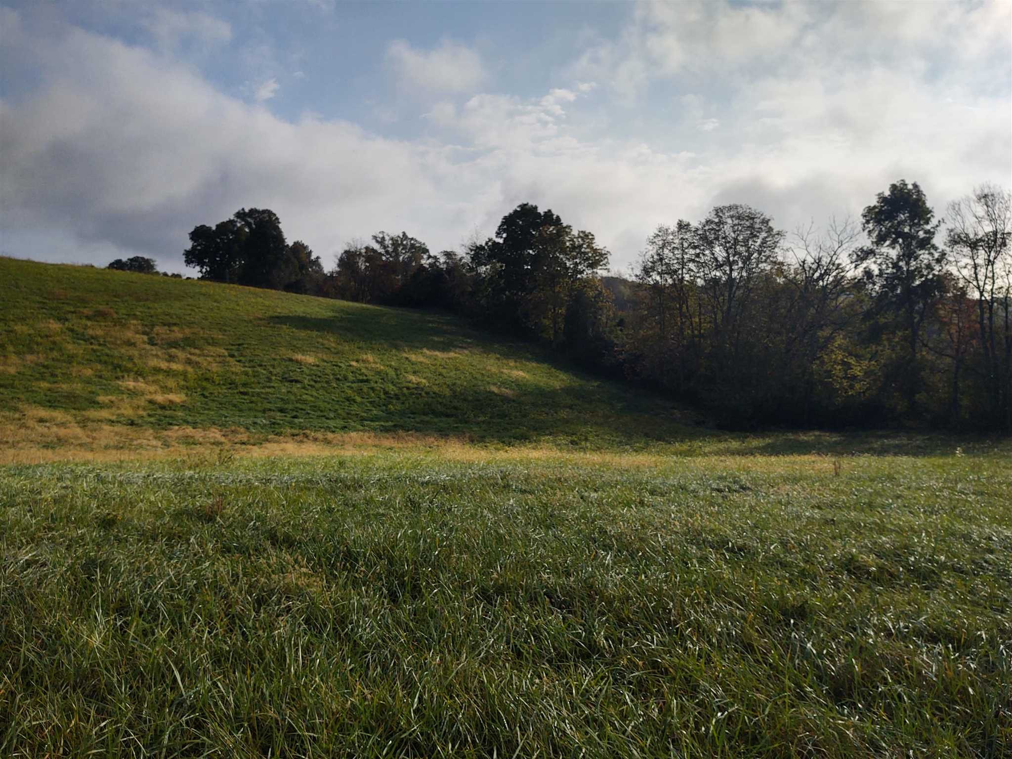 165 Poplar Thicket Road Alexandria, KY 41001 - Photo 7 of 16 Gallery Image 7