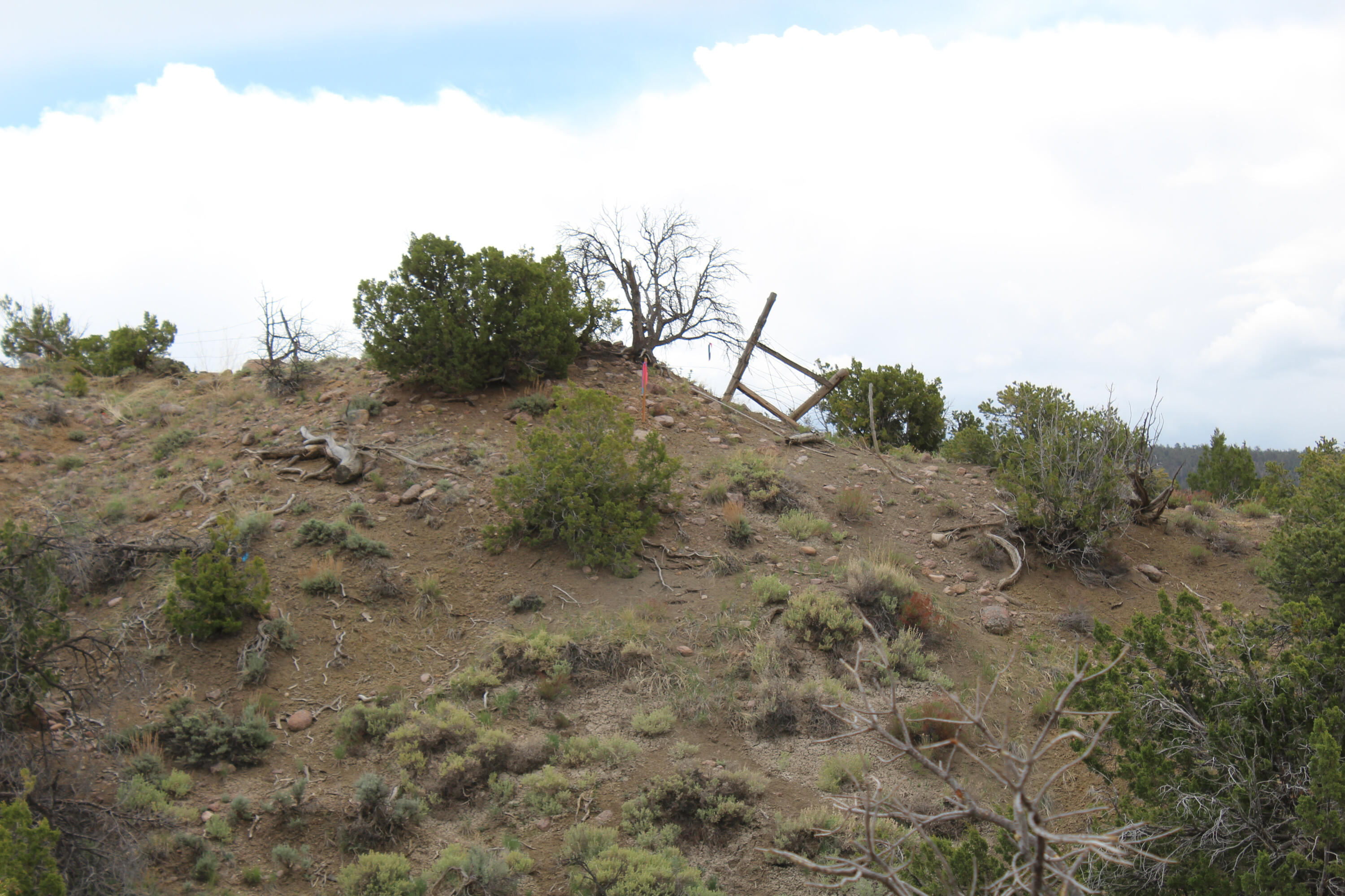 200 County Road Cuba, NM 87013 - Photo 69 of 70 Gallery Image 69