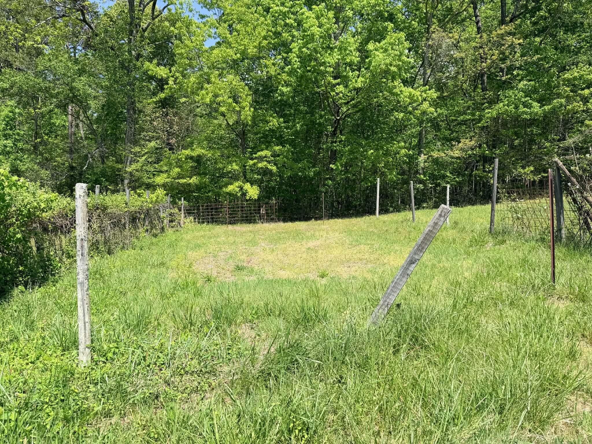 138 Keylon Hollow Road Ten Mile, TN 37880 - Photo 21 of 52 Gallery Image 21