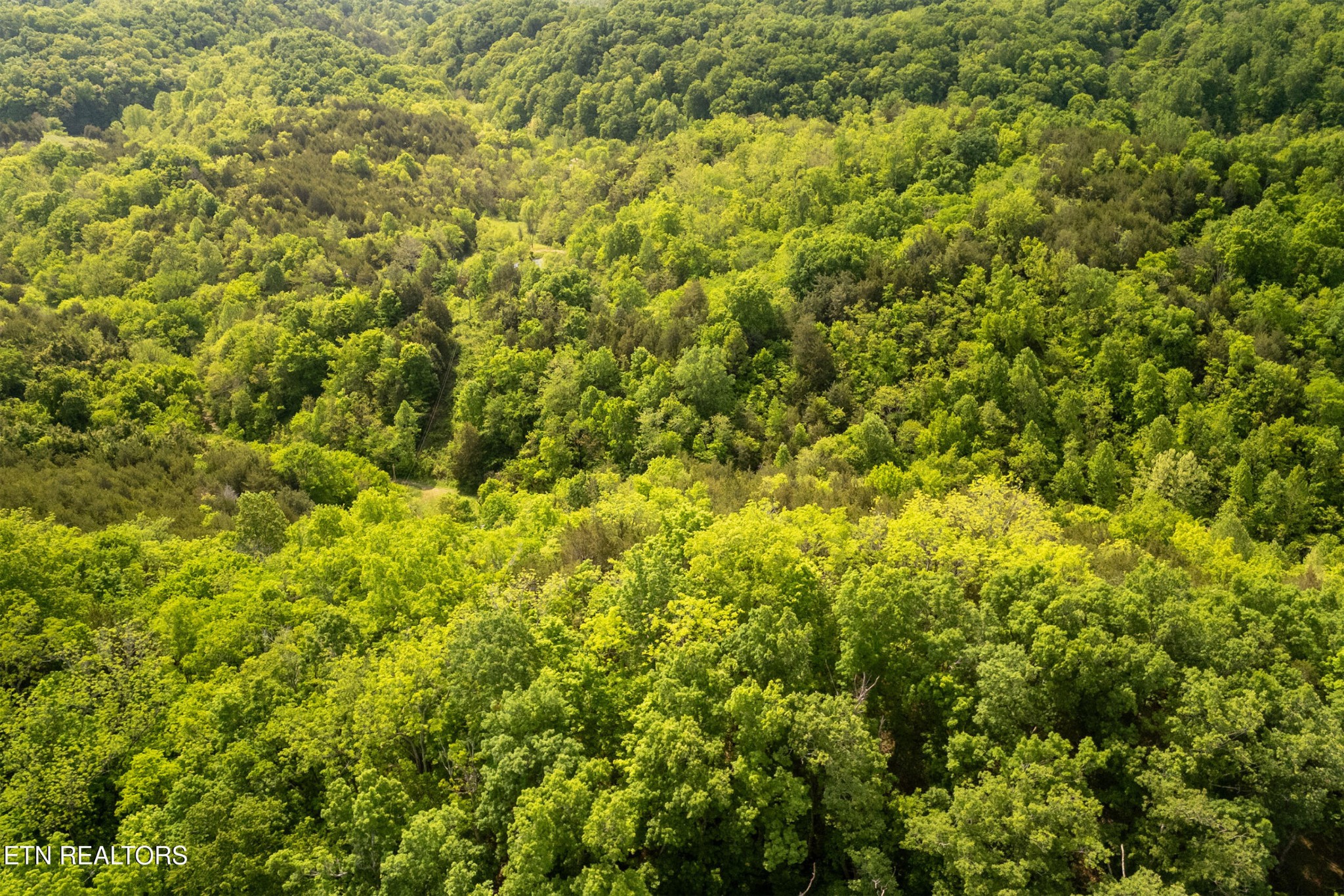 0 Henry Road Newport, TN 37821 - Photo 19 of 27