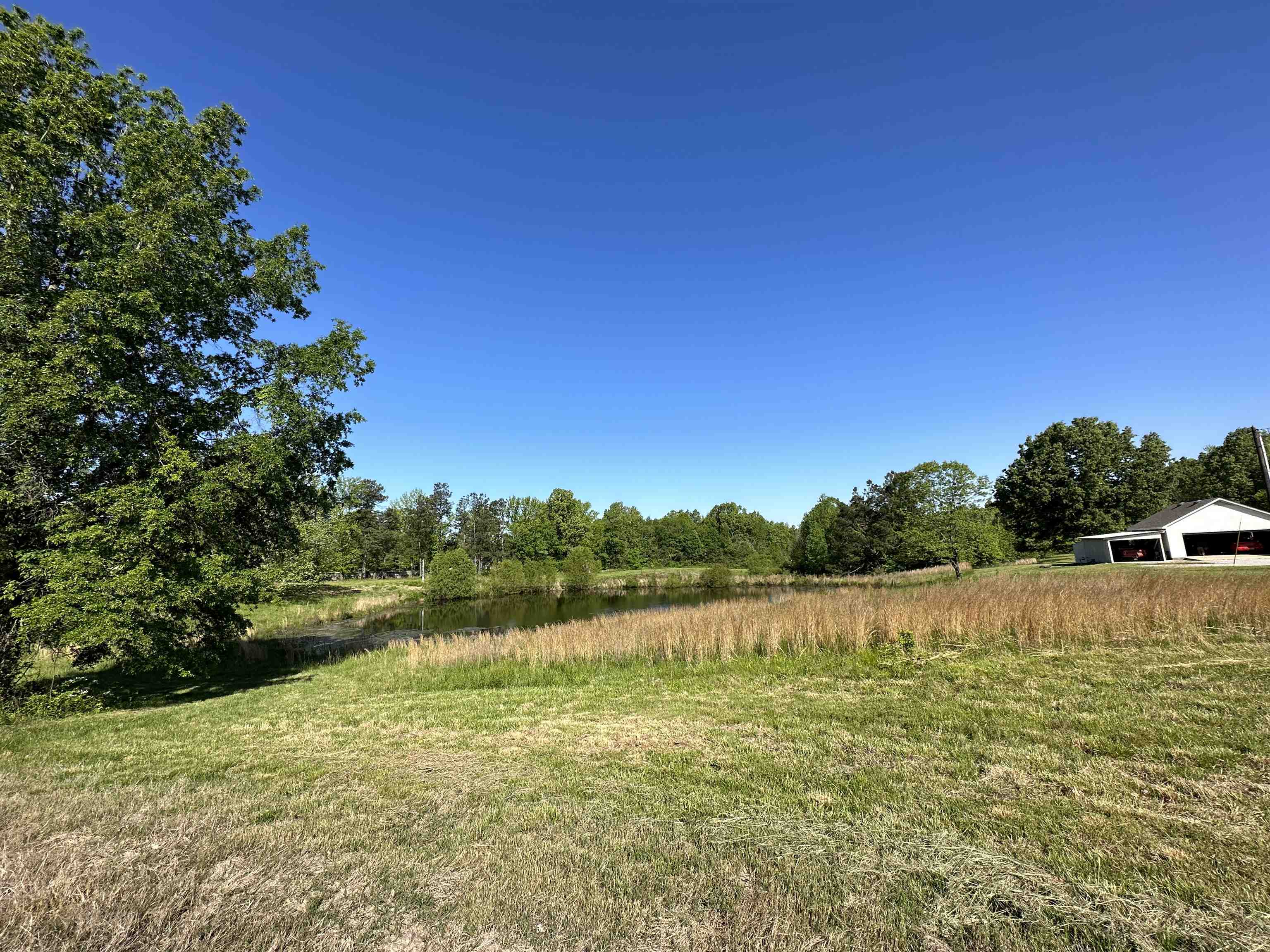 2062 Dunlap Orphanage Road Brighton, TN 38011 - Photo 4 of 6 Gallery Image 4