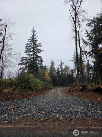 a view of outdoor space with trees