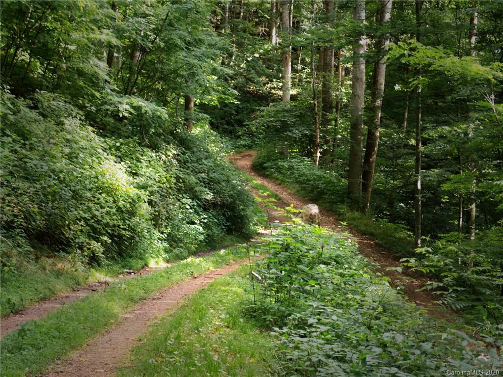 4215 Upper Shut In Road Hot Springs, NC 28743 - Photo 12 of 48 Gallery Image 12