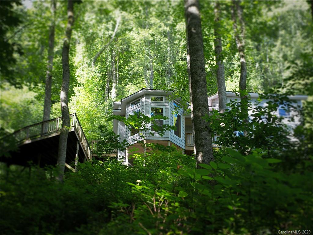 4215 Upper Shut In Road Hot Springs, NC 28743 - Photo 8 of 48 Gallery Image 8