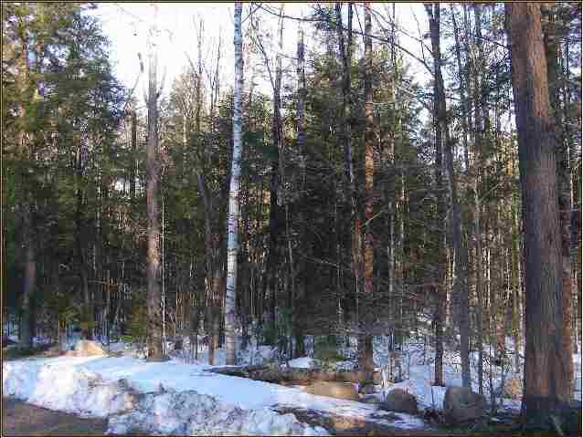 3 Pine Wood Road Chester, NY 12817 - Photo 2 of 5 Photo 2