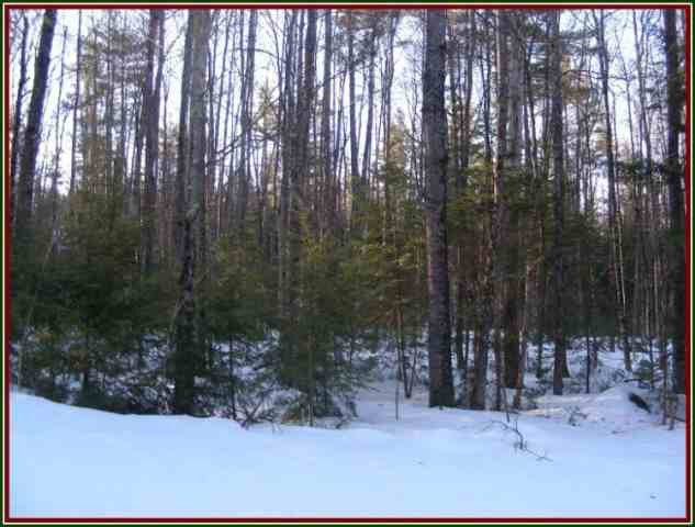 3 Pine Wood Road Chester, NY 12817 - Photo 3 of 5 Photo 3