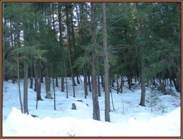3 Pine Wood Road Chester, NY 12817 - Photo 4 of 5 Photo 4