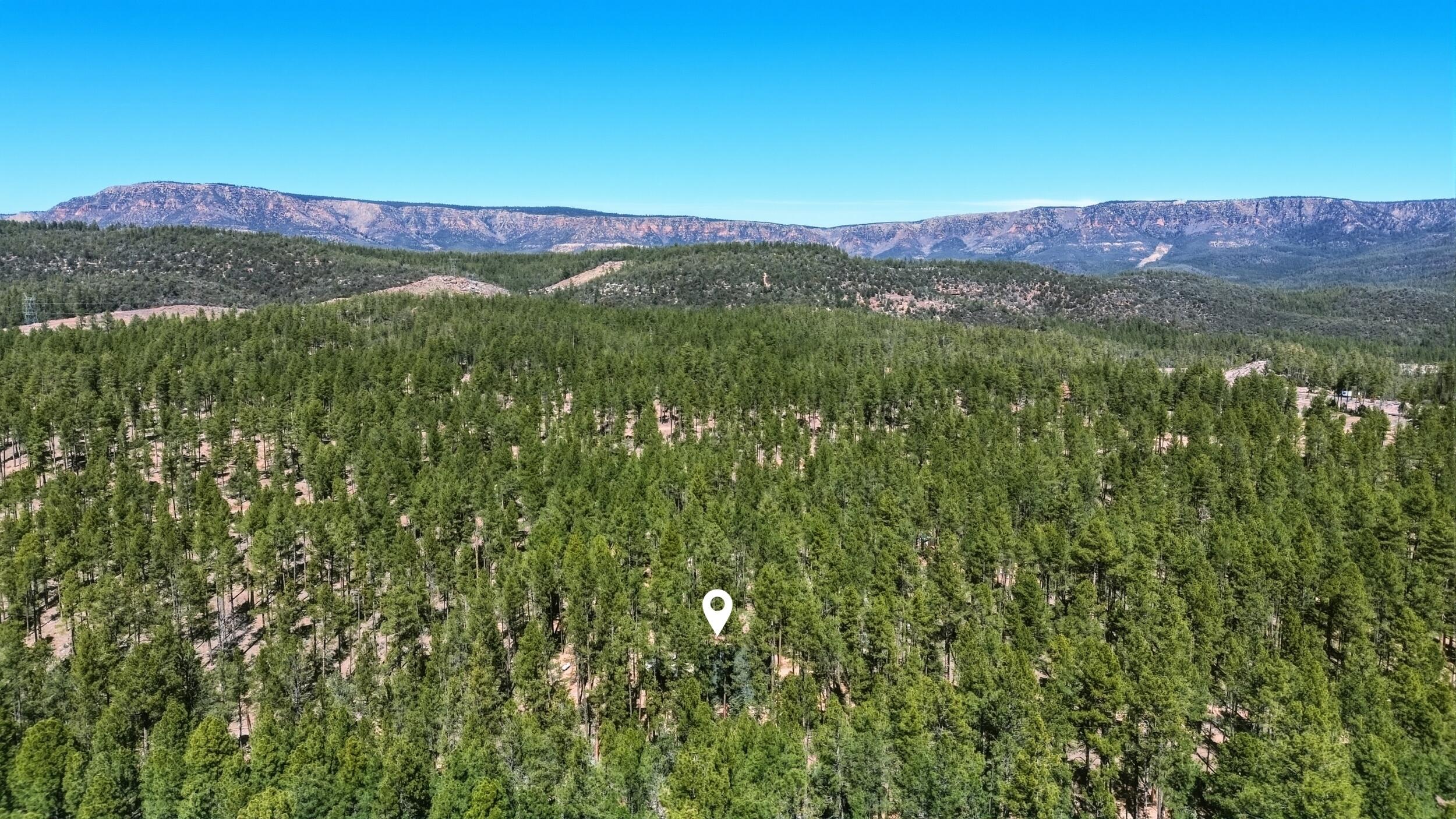 183 West Raven Road Payson, AZ 85541 - Photo 67 of 70 37_dji_0157