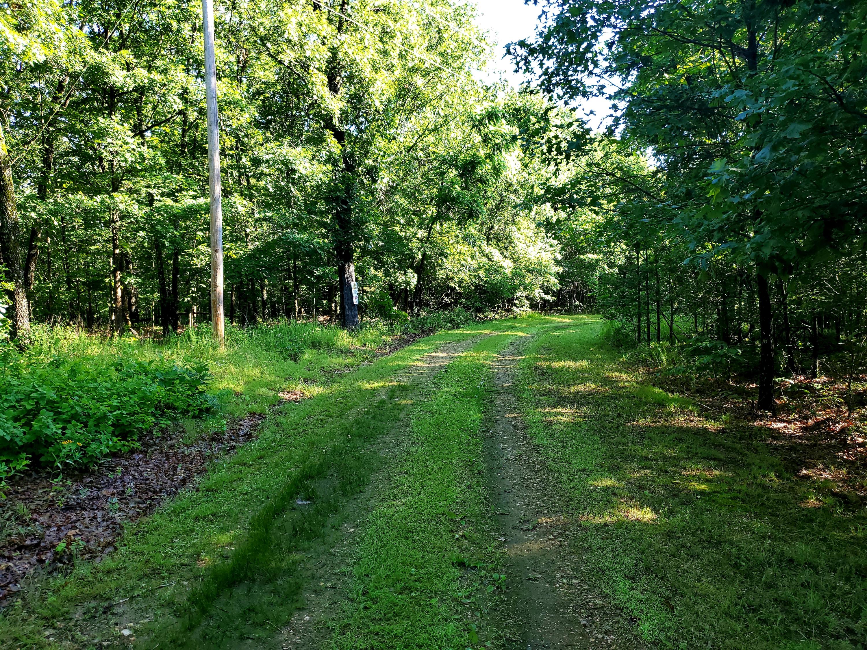 Tbd Serenity Ridge Road Ozark, MO 65721 - Photo 1 of 1 Hunting Land for Sale-Mossy Oak