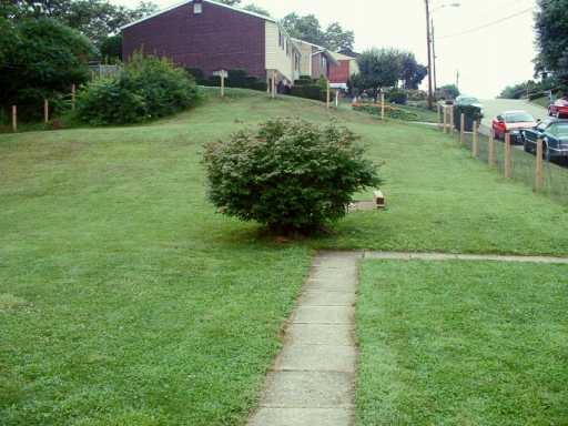 1144 Butler Road Springdale, PA 15144 - Photo 2 of 6 Yard/Garden.