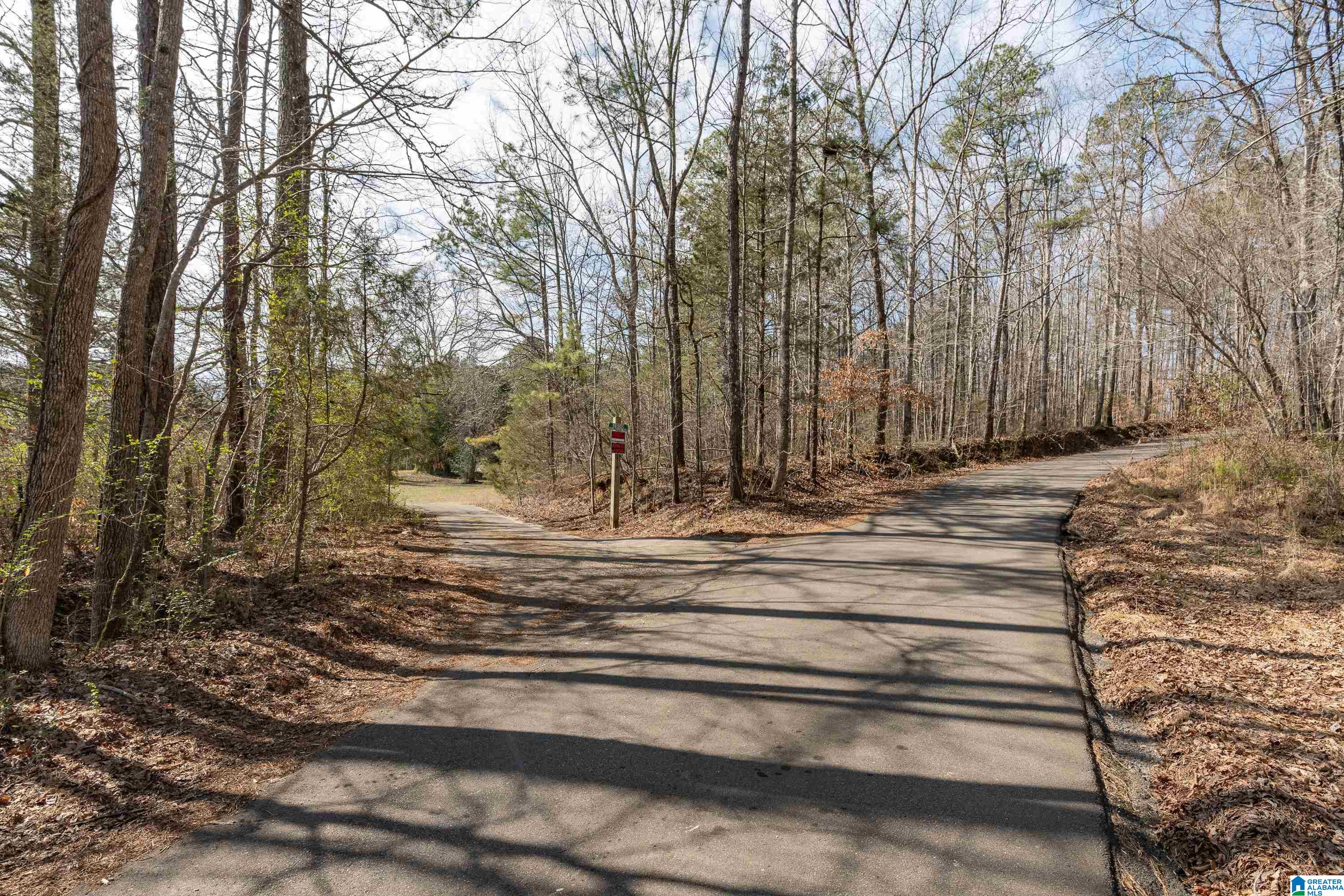 2050 Argo Margaret Road Odenville, AL 35120 - Photo 41 of 61
