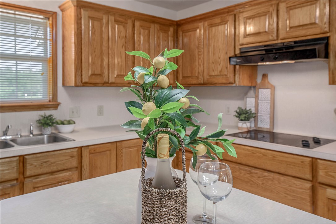 1110 County Road 439 Dime Box, TX 77853 - Photo 21 of 50 a kitchen with a potted plant on the counter