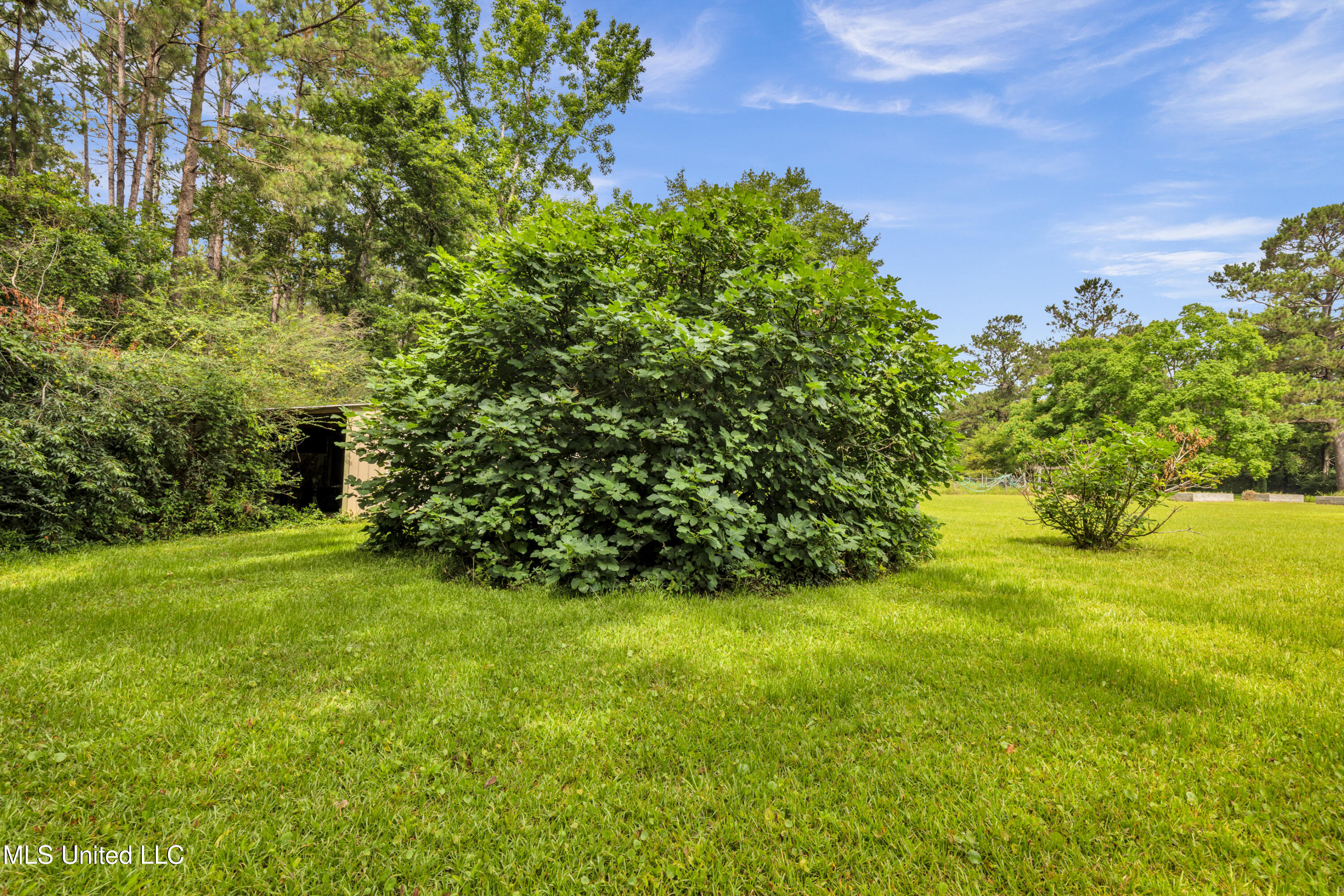 16609 Old River Road Vancleave, MS 39565 - Photo 44 of 53 16609OldRiverRd-44