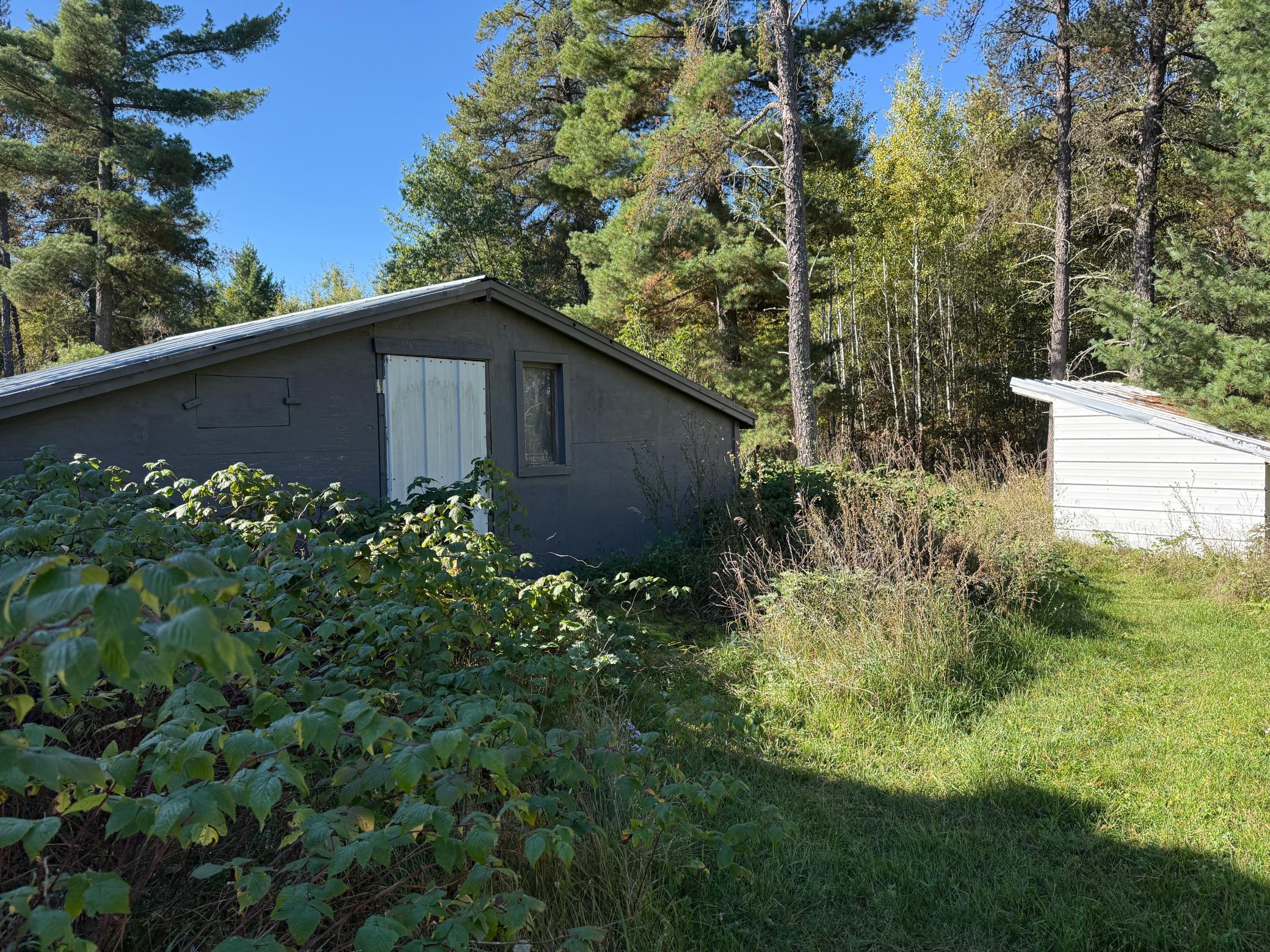 31419 170th Street Akeley, MN 56433 - Photo 48 of 56