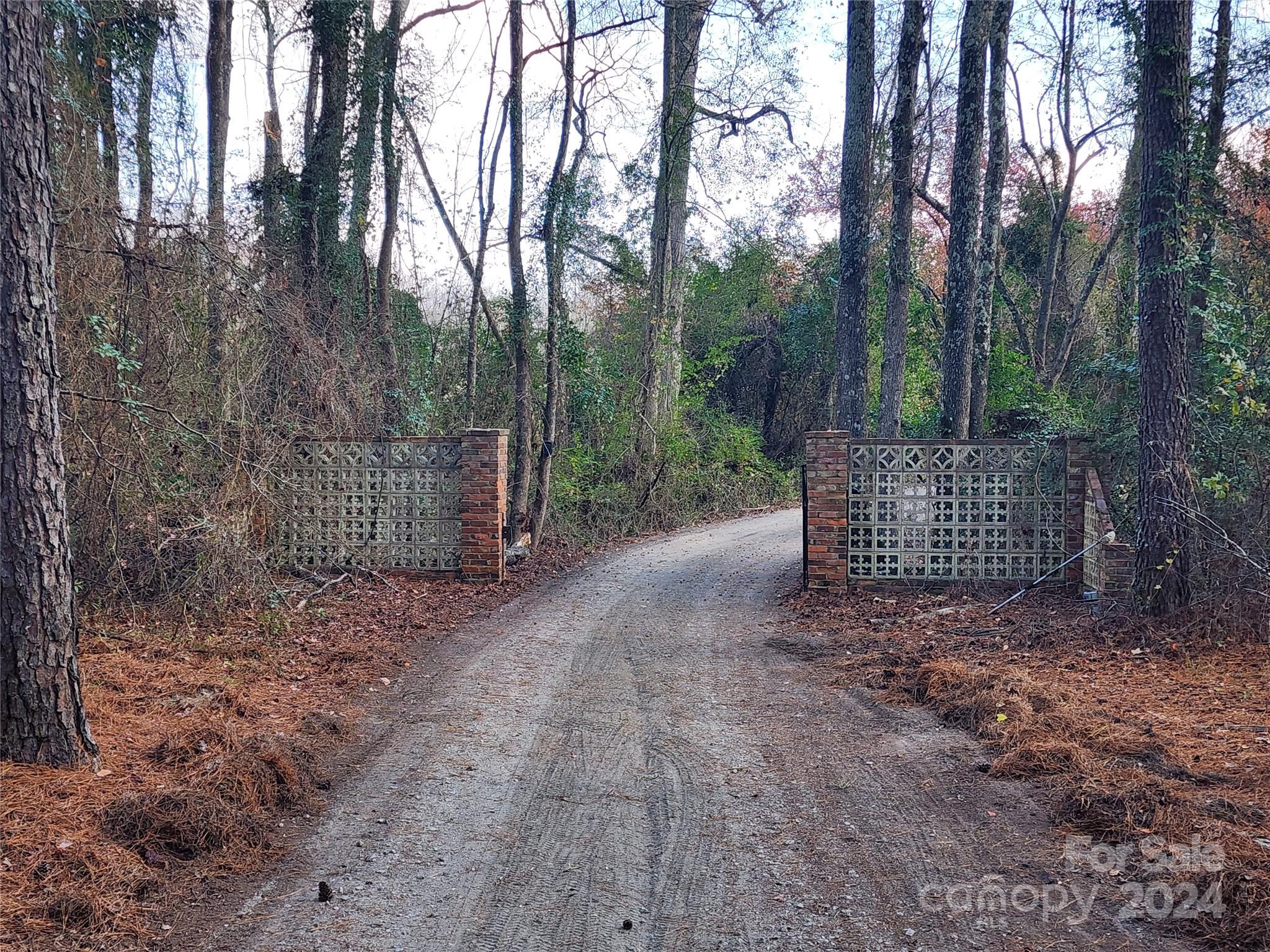 4243 Steen Road Mount Croghan, SC 29727 - Photo 11 of 48