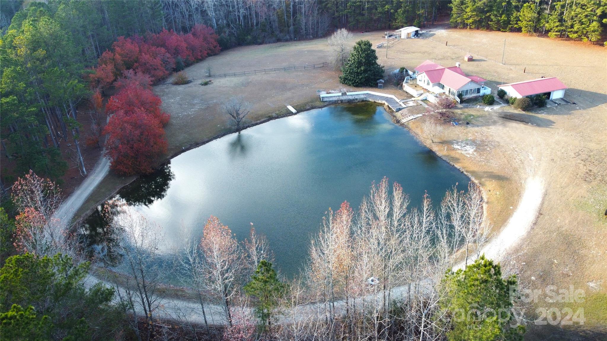 4243 Steen Road Mount Croghan, SC 29727 - Photo 3 of 48