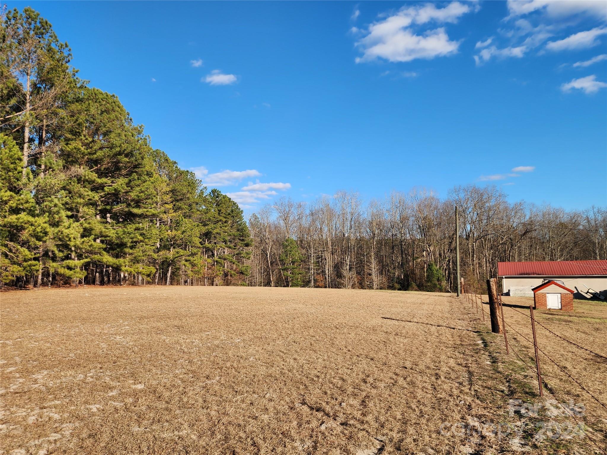 4243 Steen Road Mount Croghan, SC 29727 - Photo 34 of 48