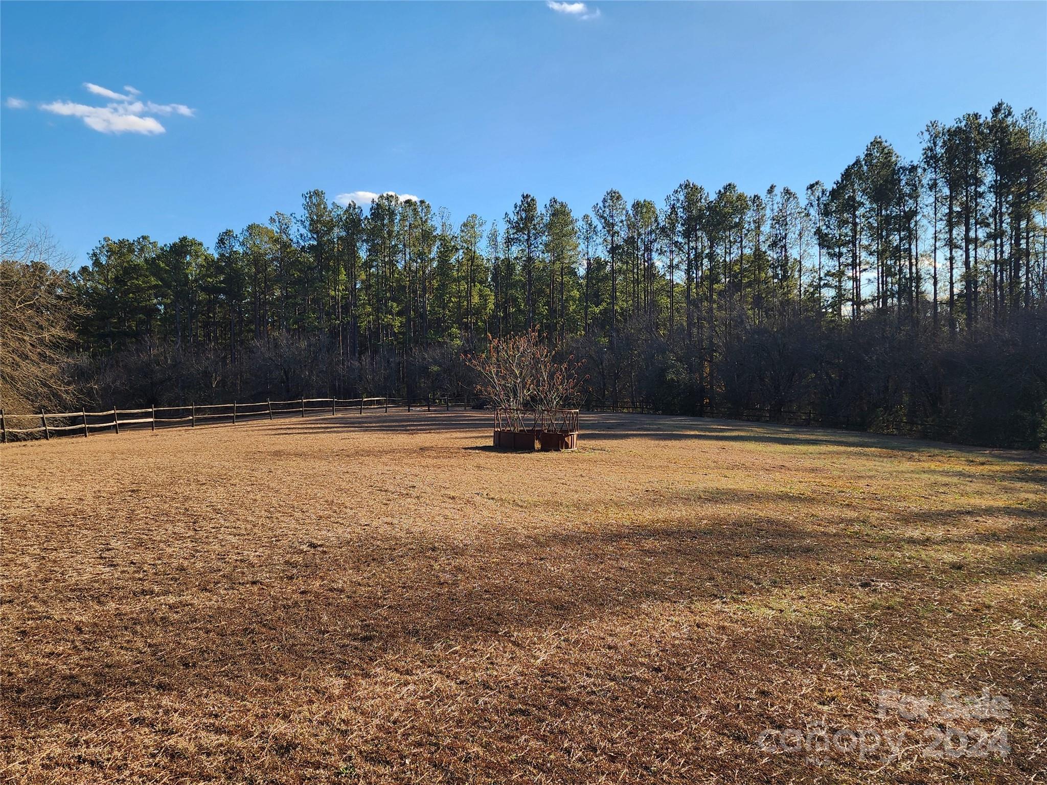 4243 Steen Road Mount Croghan, SC 29727 - Photo 35 of 48