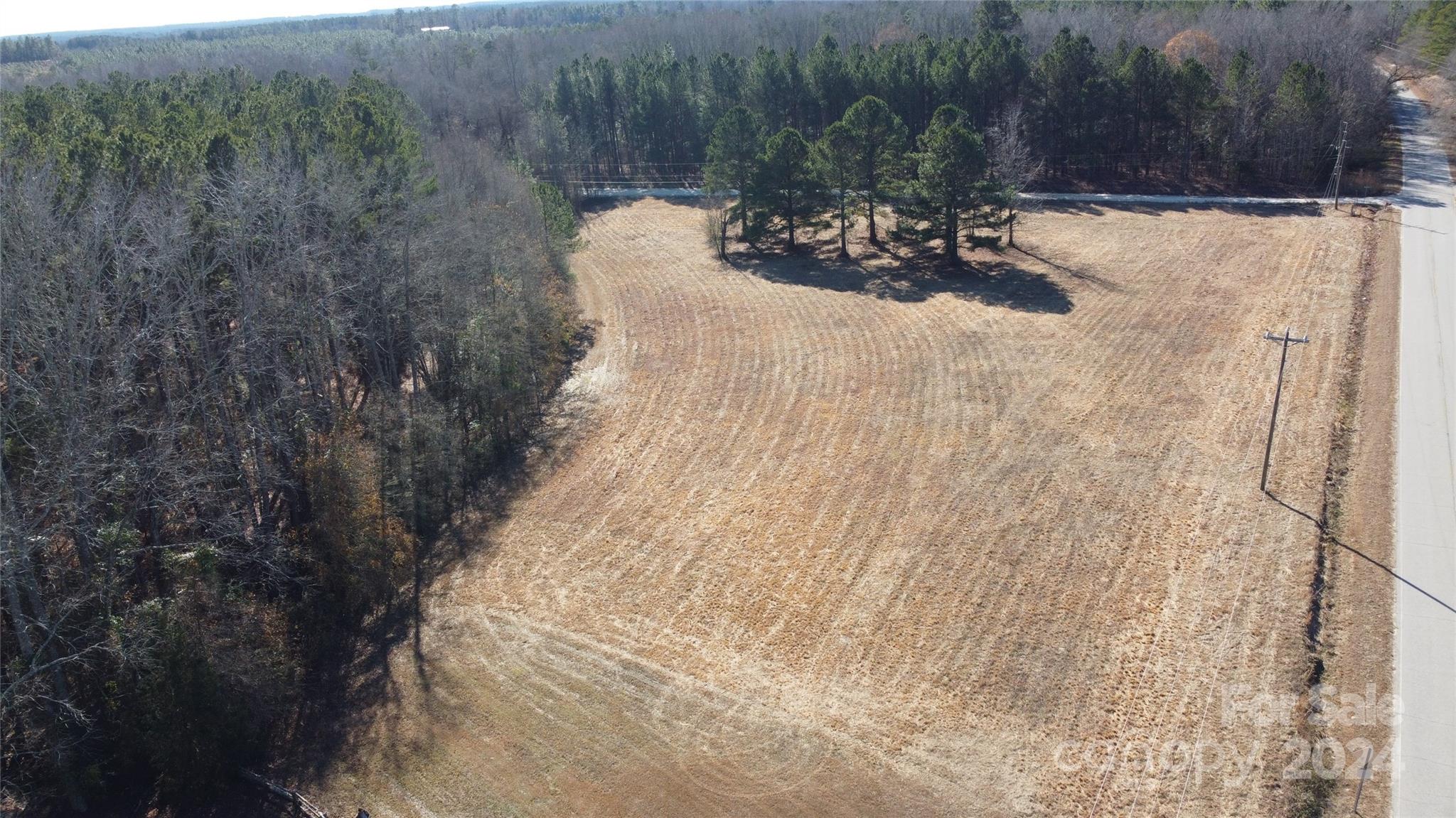 4243 Steen Road Mount Croghan, SC 29727 - Photo 36 of 48