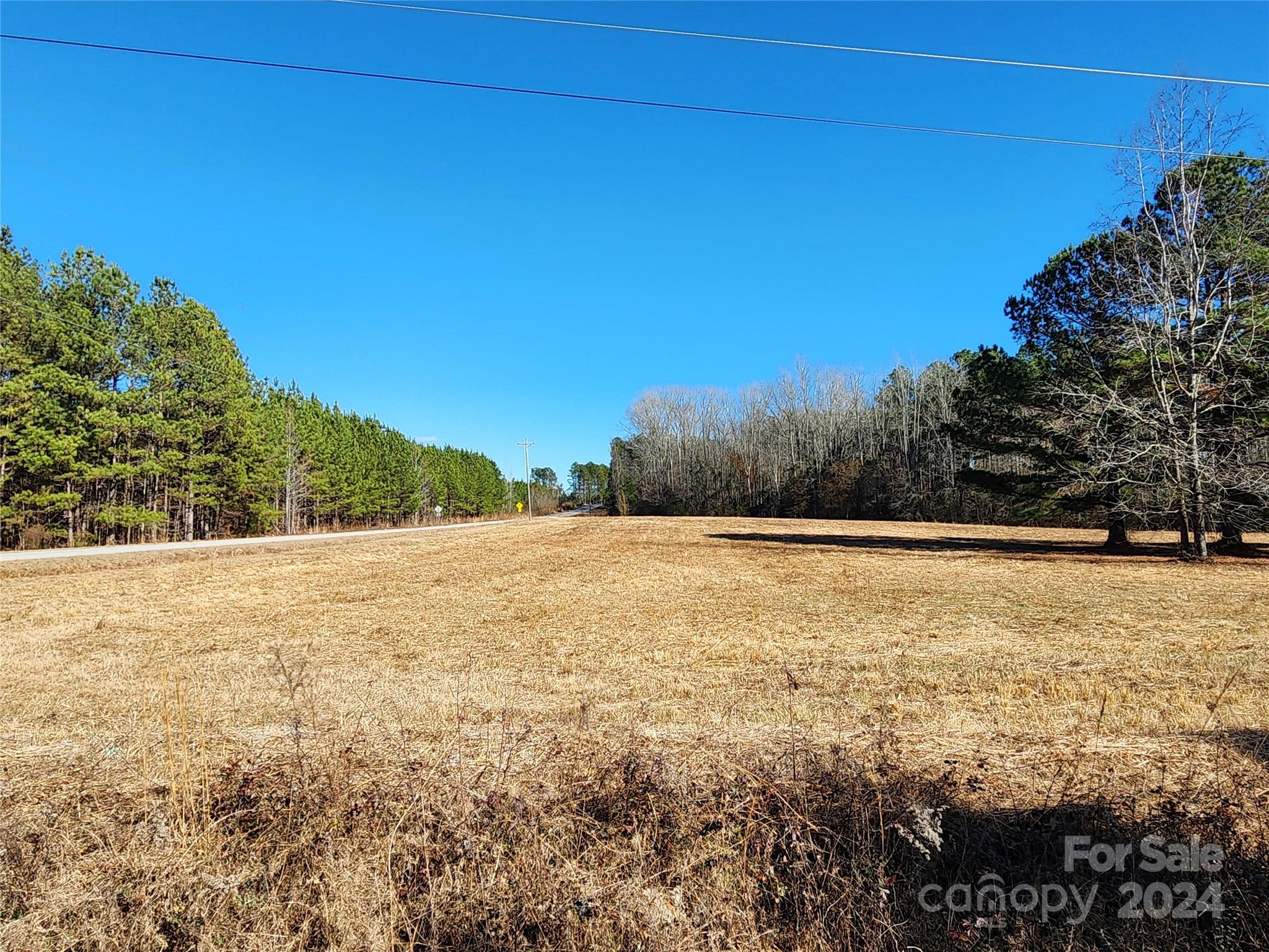 4243 Steen Road Mount Croghan, SC 29727 - Photo 38 of 48