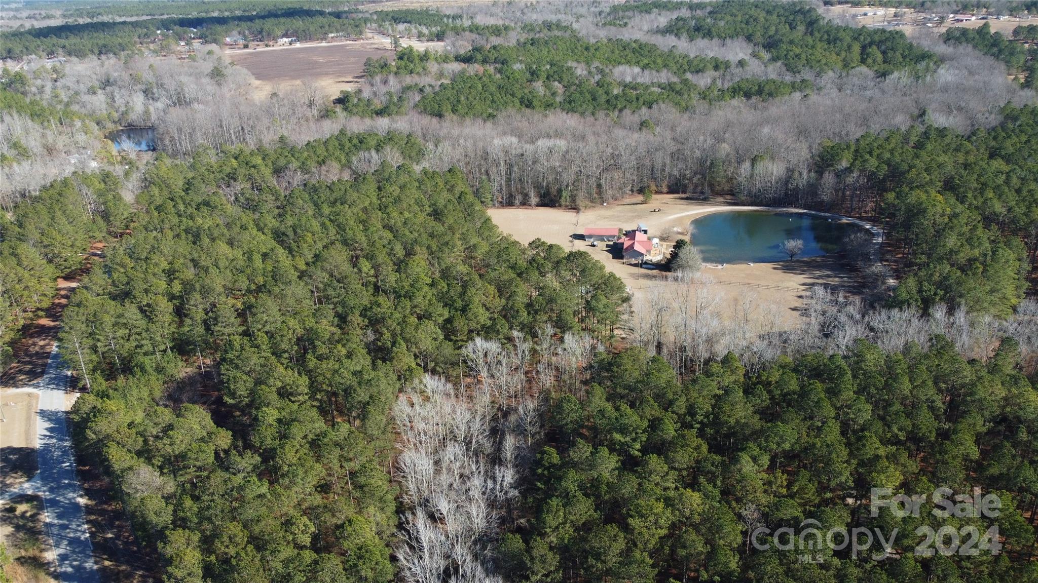 4243 Steen Road Mount Croghan, SC 29727 - Photo 4 of 48