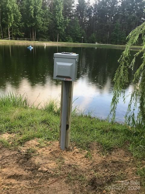 4243 Steen Road Mount Croghan, SC 29727 - Photo 44 of 48