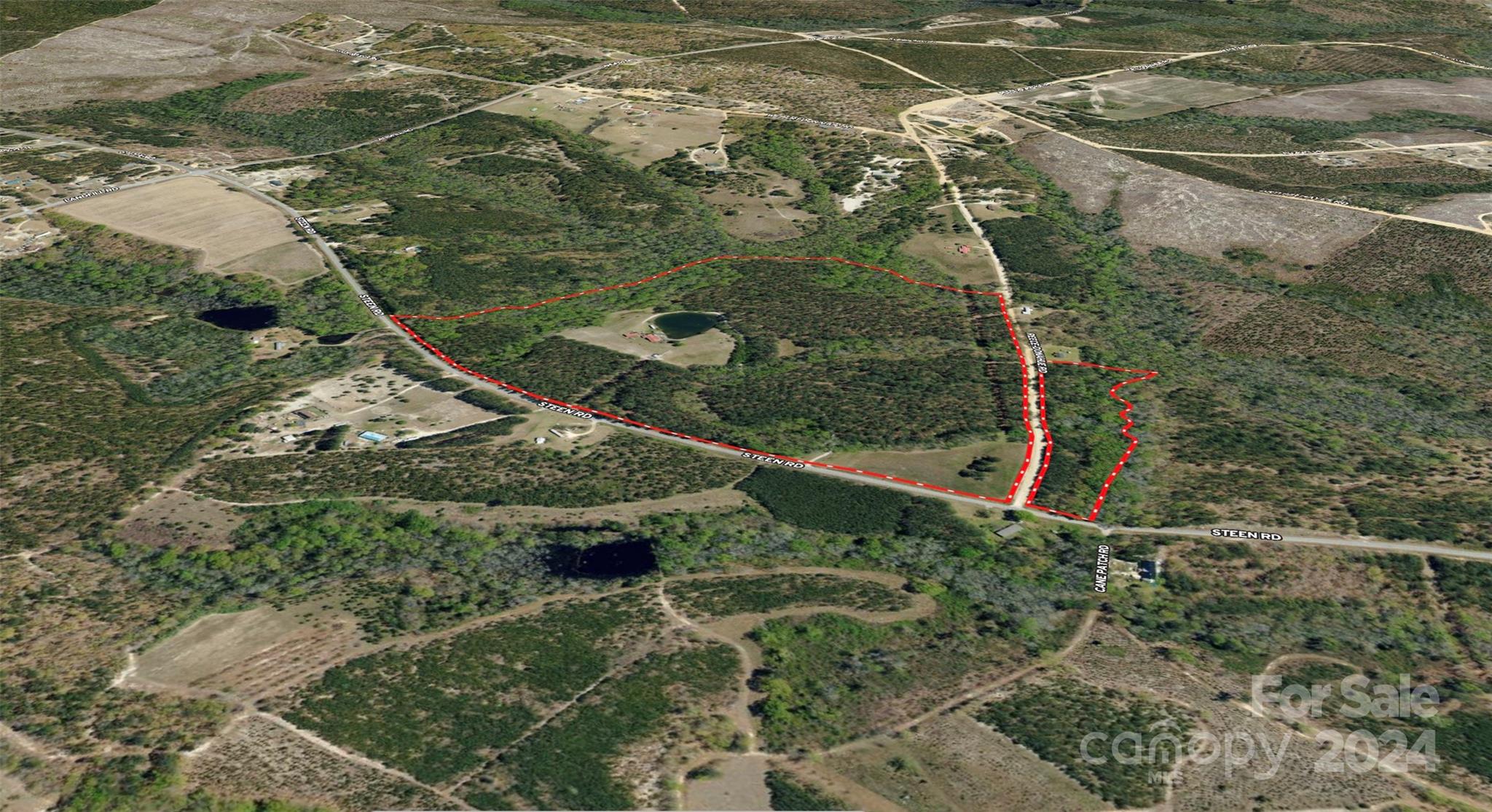 4243 Steen Road Mount Croghan, SC 29727 - Photo 6 of 48
