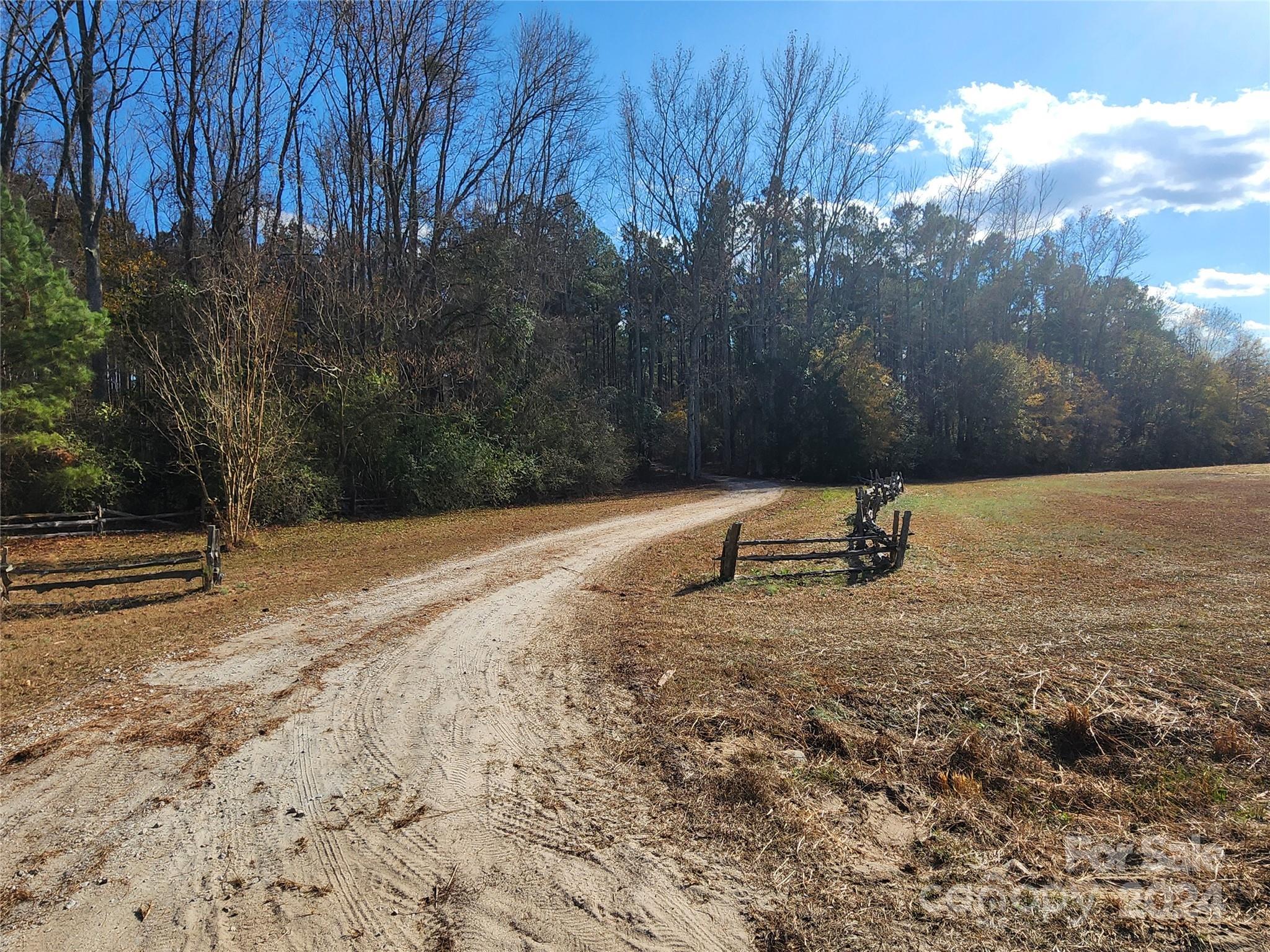 4243 Steen Road Mount Croghan, SC 29727 - Photo 9 of 48