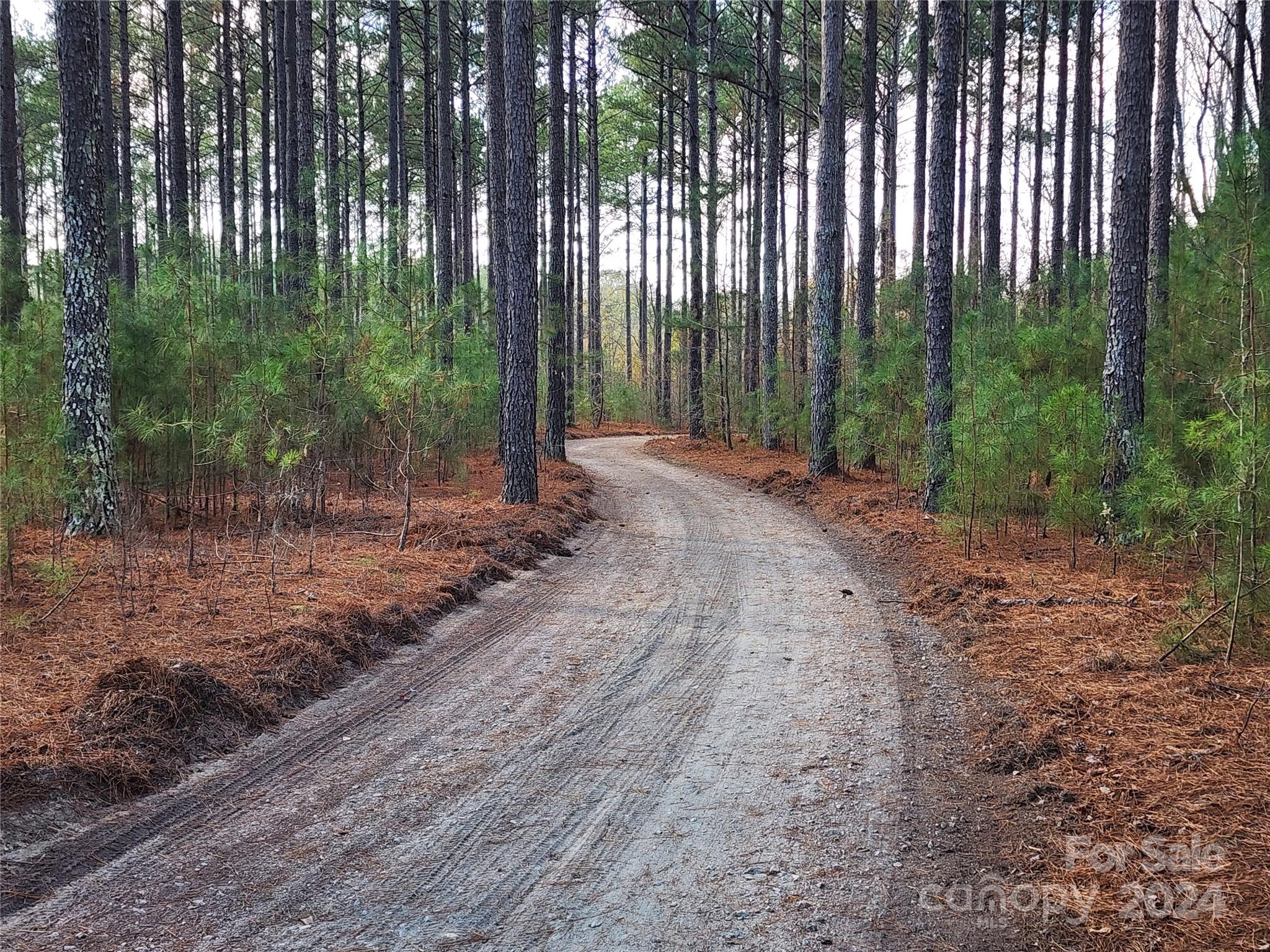 4243 Steen Road Mount Croghan, SC 29727 - Photo 10 of 48