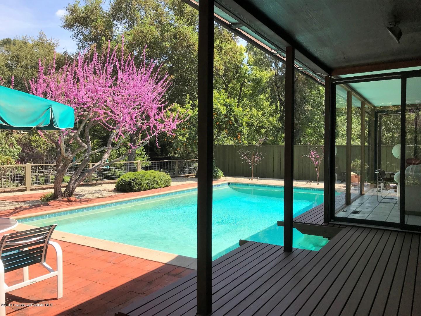 Backyard pool (Large)