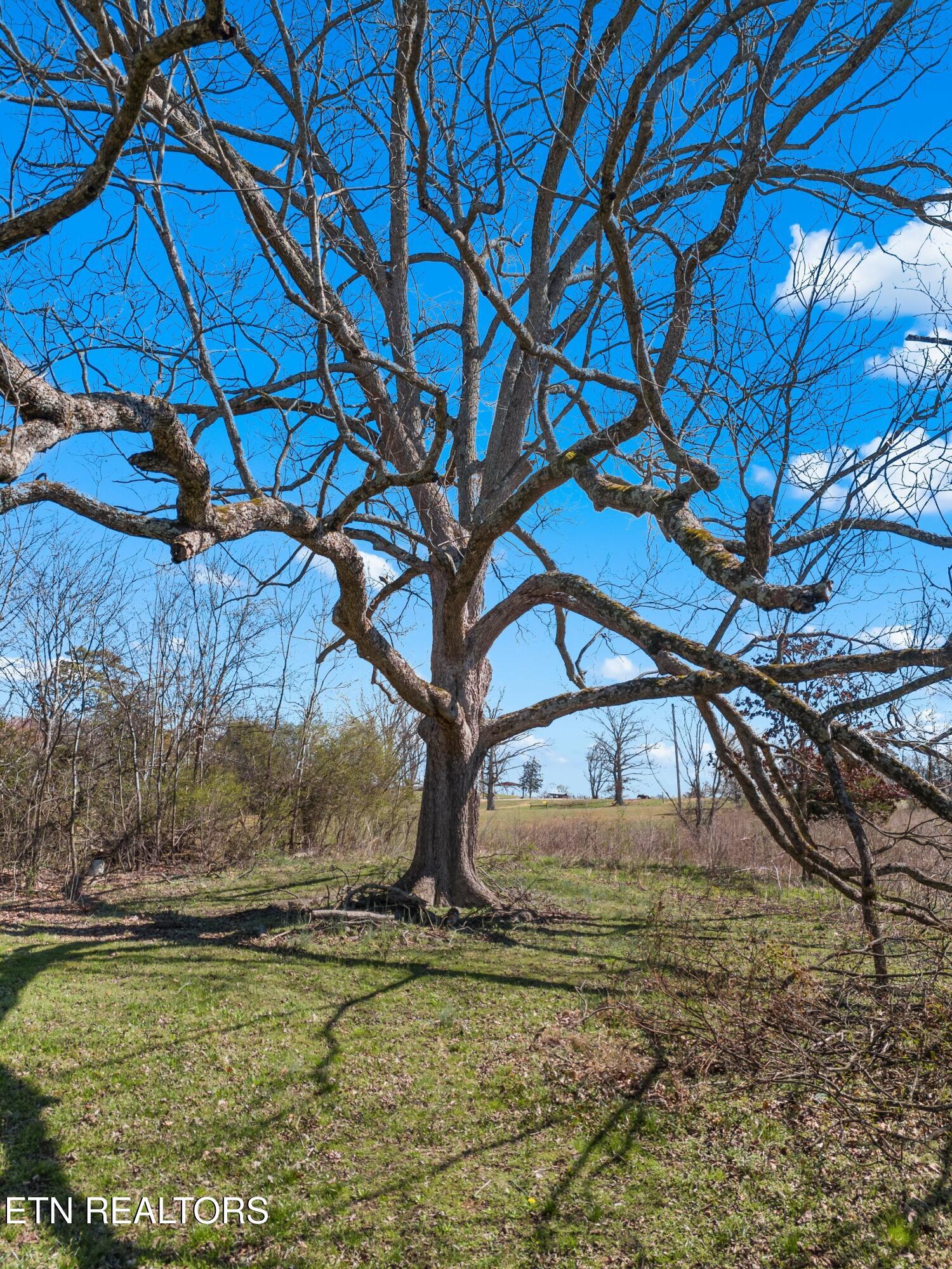 1568 Harold Patterson Road Dandridge, TN 37725 - Photo 28 of 35 028-1568HaroldPattersonRoad-Dandridge-TN