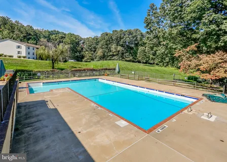 a view of a park with large trees