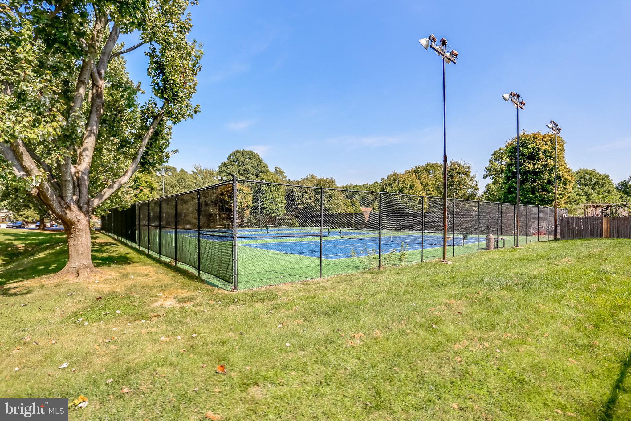 5778 Rexford Court, Unit 5778B Springfield, VA 22152 - Photo 34 of 55 a view of a park with a tree