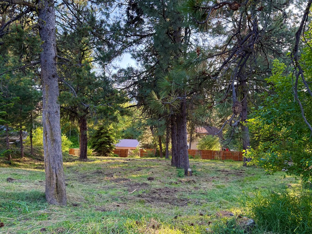 903 Divot Circle, Unit 135 Cascade, ID 83611 - Photo 2 of 9 Mature Trees