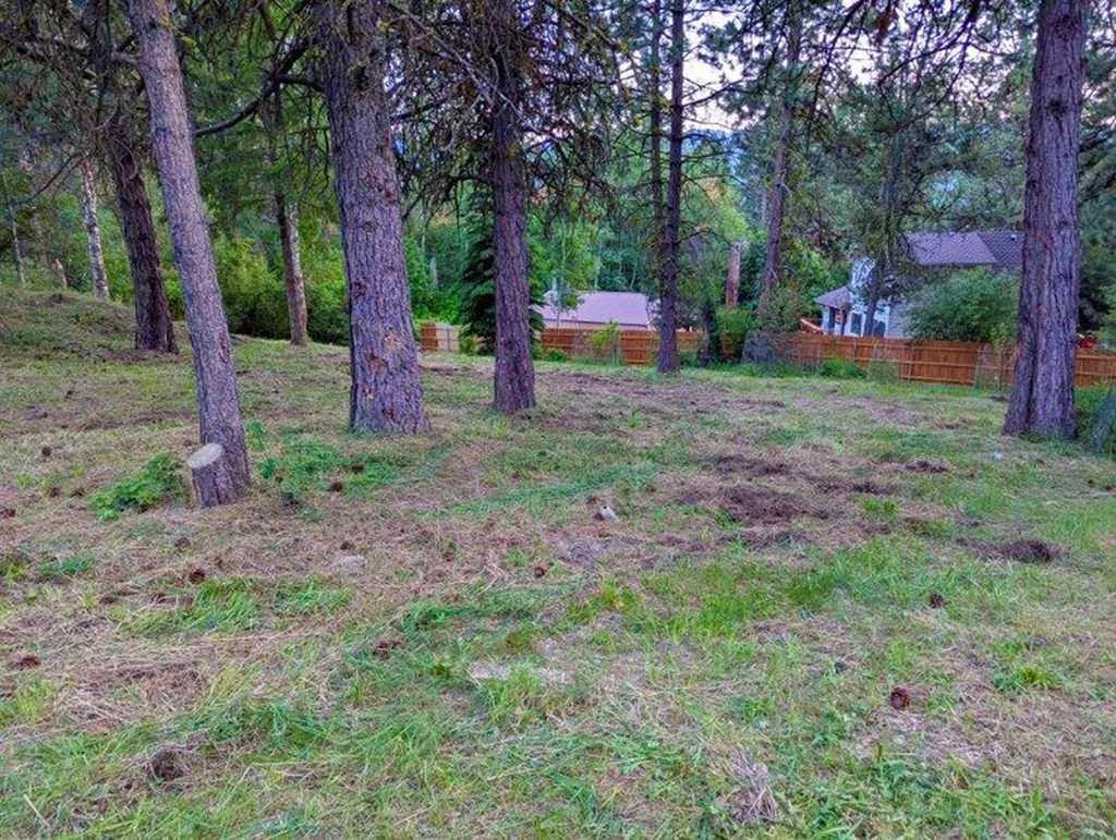 903 Divot Circle, Unit 135 Cascade, ID 83611 - Photo 4 of 9 Partially Fenced Backyard