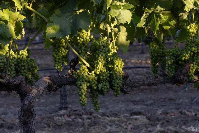 $1,700,000 | 0 Lanza Drive, Fairfield, CA 94534